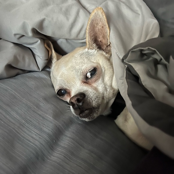 Meet your Posher, Connie - Picture 14 of 16